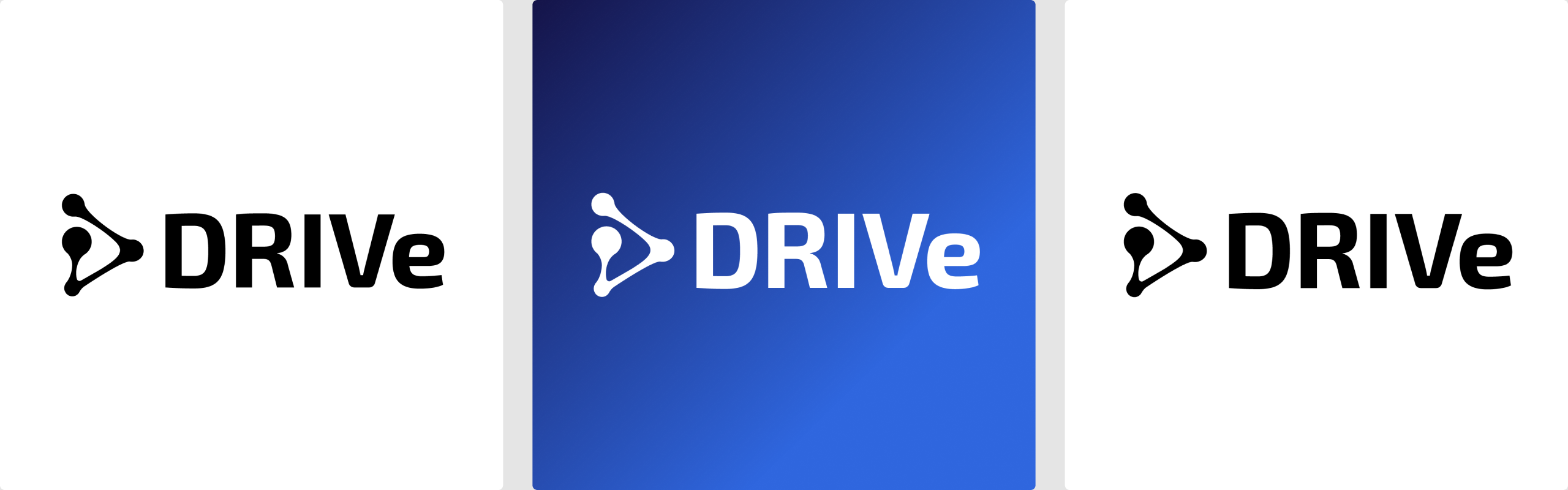 DRIVe logo variants