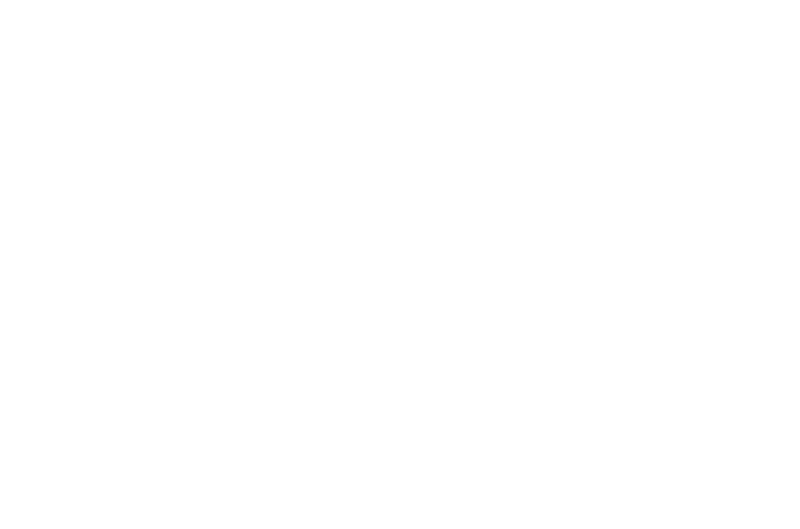 Booz Allen Hamilton